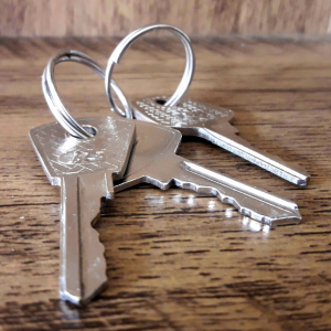 Lost Keys Wise Owl Property Emergency Contacts House keys image for Wise Owl Property Emergency Contacts